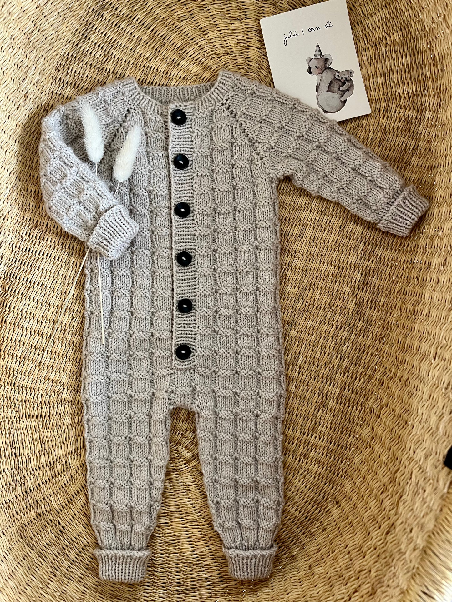 EkOllon Overall