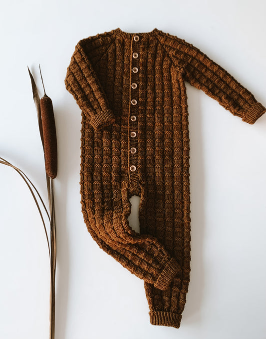 EkOllon Overall